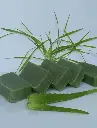 Aloe & Neem Handmade Herbal Soap.
